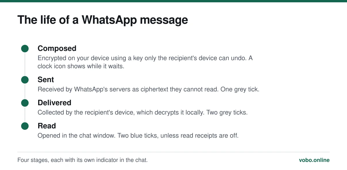 The life of a WhatsApp message. Four stages, each with its own indicator in the chat.