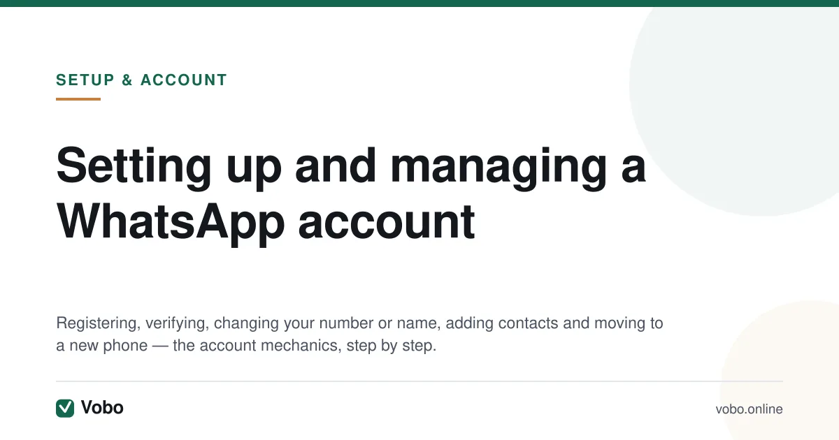 Setting up and managing a WhatsApp account — topic hub on Vobo.