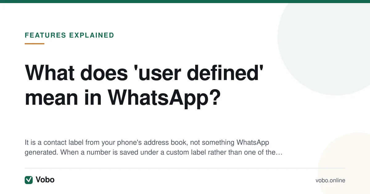 What does 'user defined' mean in WhatsApp? — illustrated summary card from Vobo, Features explained.